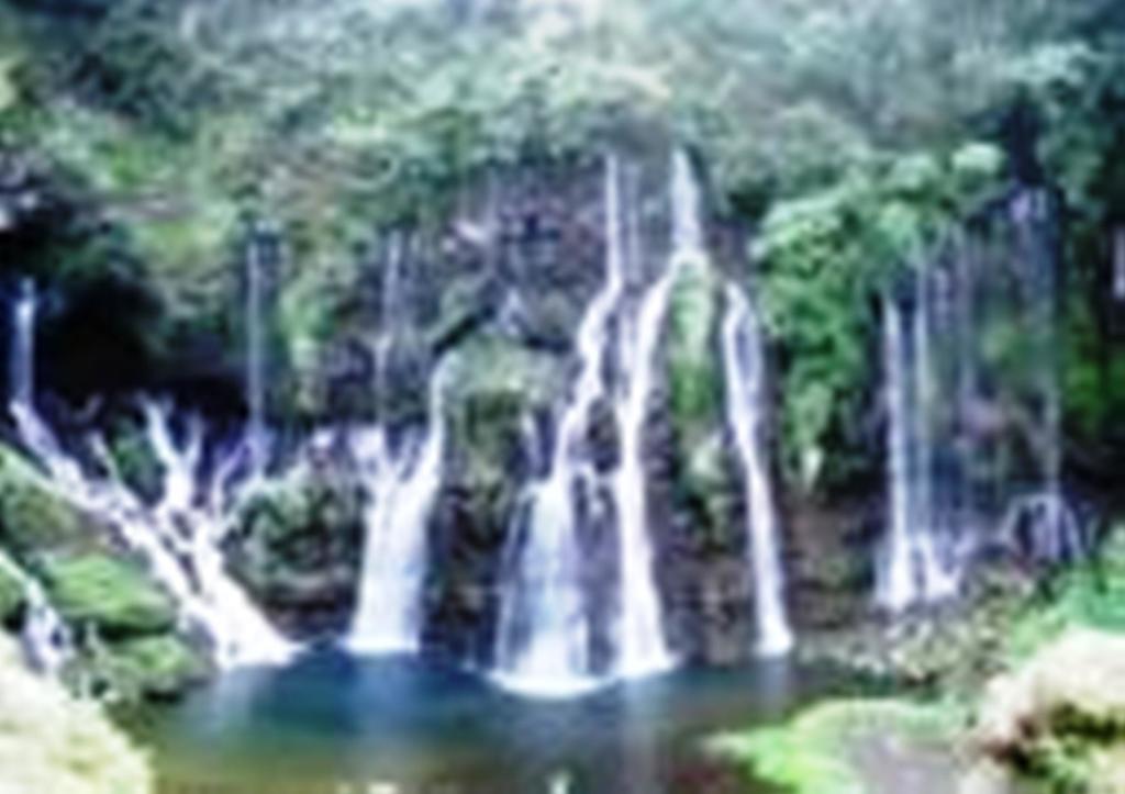 Vila Braslontan Le Tampon Exteriér fotografie